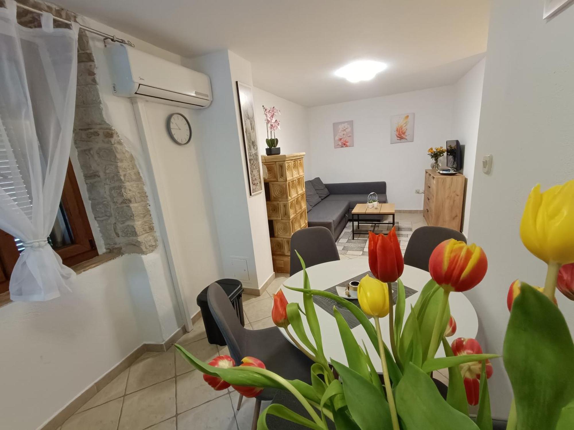 Adria Pearl Appartments 弗尔萨尔 外观 照片